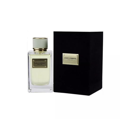 Dolce & Gabbana Velvet Cypress EDP 5.0 oz  Unisex Spray (Not Sealed)